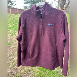 Patagonia Synchilla pullover